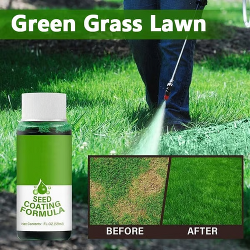 Last Day 73% OFFđ±Hydro Seeding Lawn Solution