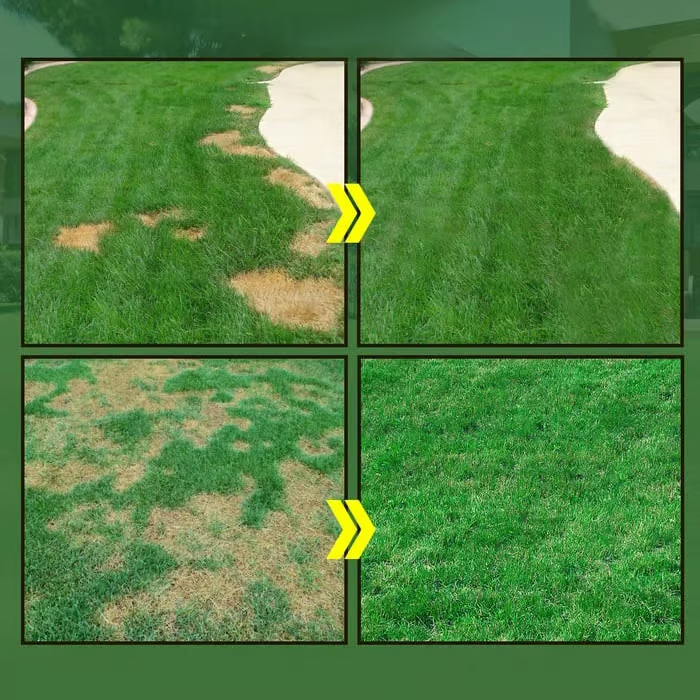 Last Day 73% OFFđ±Hydro Seeding Lawn Solution