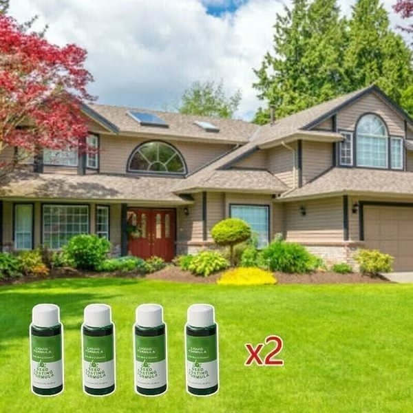 Last Day 73% OFFđ±Hydro Seeding Lawn Solution