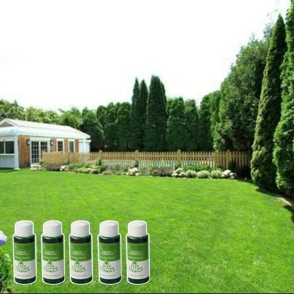 Last Day 73% OFFđ±Hydro Seeding Lawn Solution