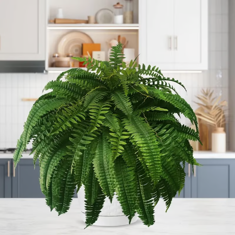 Last Day 75% OFF--🌿UV Resistant Lifelike Artificial Boston Fern