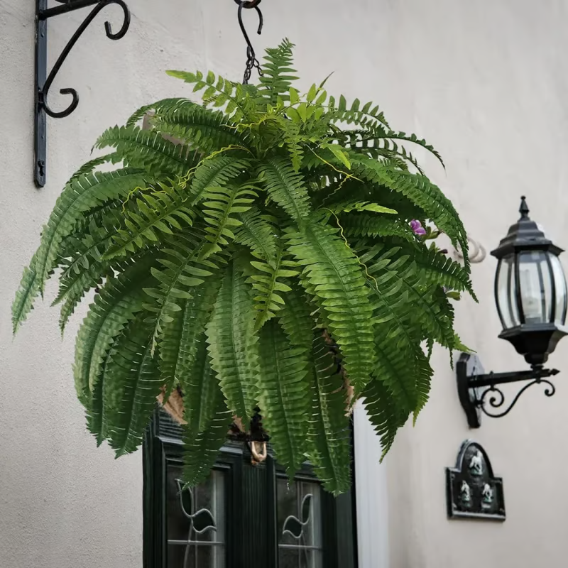 Last Day 75% OFF--🌿UV Resistant Lifelike Artificial Boston Fern