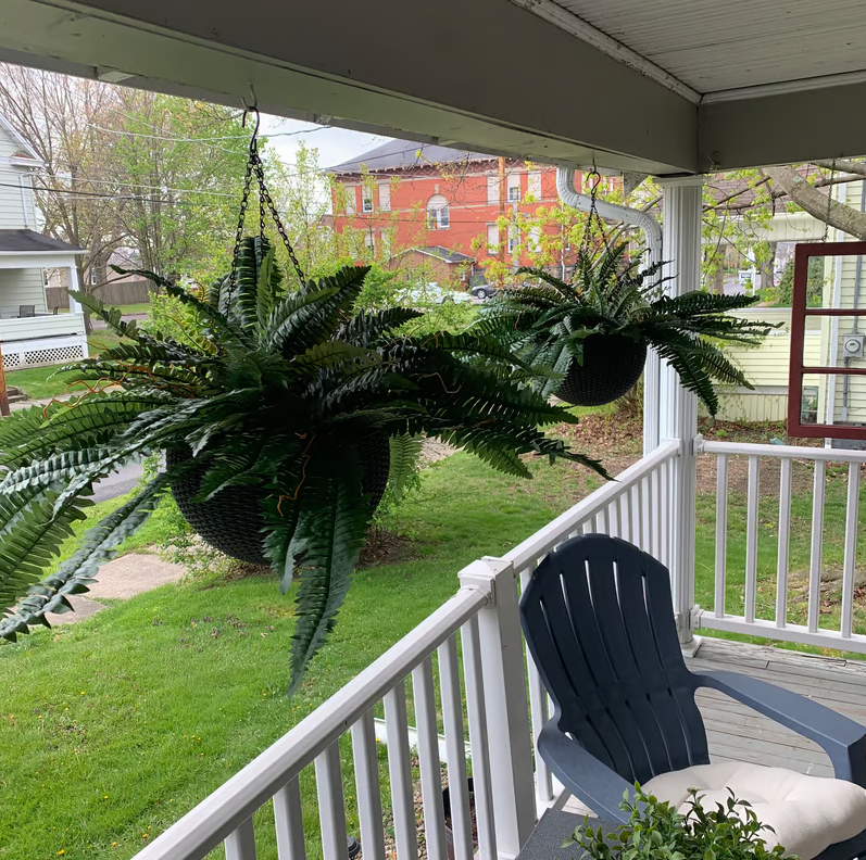Last Day 75% OFF--🌿UV Resistant Lifelike Artificial Boston Fern
