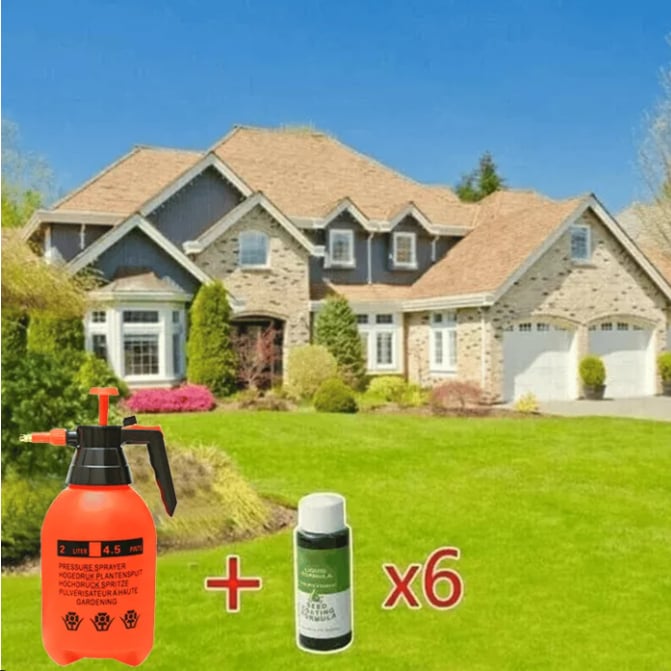 Last Day 73% OFFđ±Hydro Seeding Lawn Solution